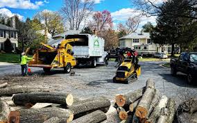 Best Emergency Tree Removal  in Northlake, SC